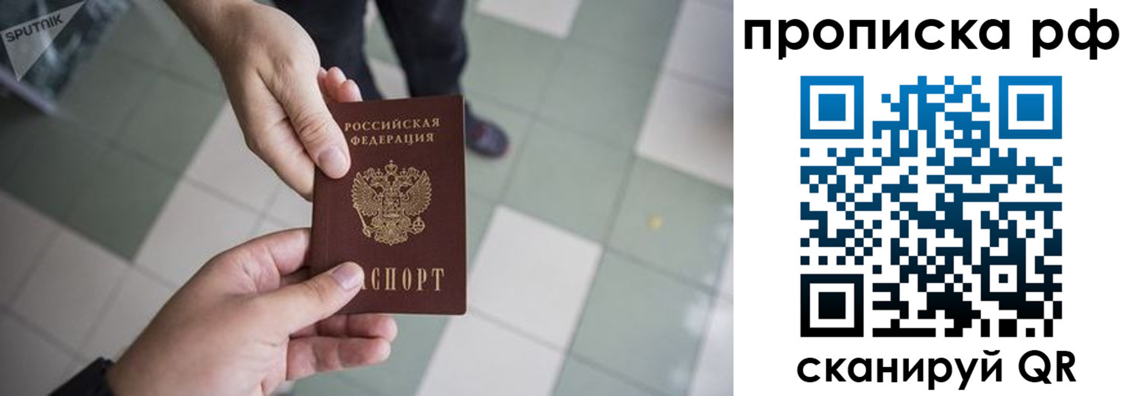 прописка гарантия в Заволжье